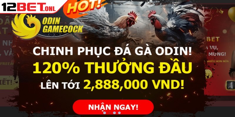 World Cup 2026、Tỷ lệ kèo WC、Kèo rung WC、Kèo tỷ số chính xác Thành viên sở hữu ID chính thức sẽ được tận hưởng vô số ưu đãi