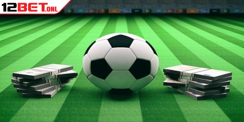 World Cup 2026、Tỷ lệ kèo WC、Kèo rung WC、Kèo tỷ số chính xác Việc bỏ qua số liệu thống kê khiến anh em đưa ra quyết định sai lệch