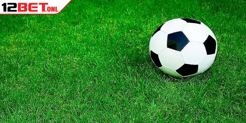 World Cup 2026、Tỷ lệ kèo WC、Kèo rung WC、Kèo tỷ số chính xác Cách nhận biết kèo tuồng là gì chính xác