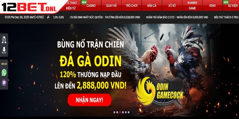 World Cup 2026、Tỷ lệ kèo WC、Kèo rung WC、Kèo tỷ số chính xác Cam kết mang đến sự hài lòng tuyệt đối cho hội viên cá cược